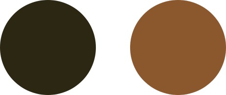 Clients Testimonials